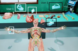 Enhancing Anatomy Learning