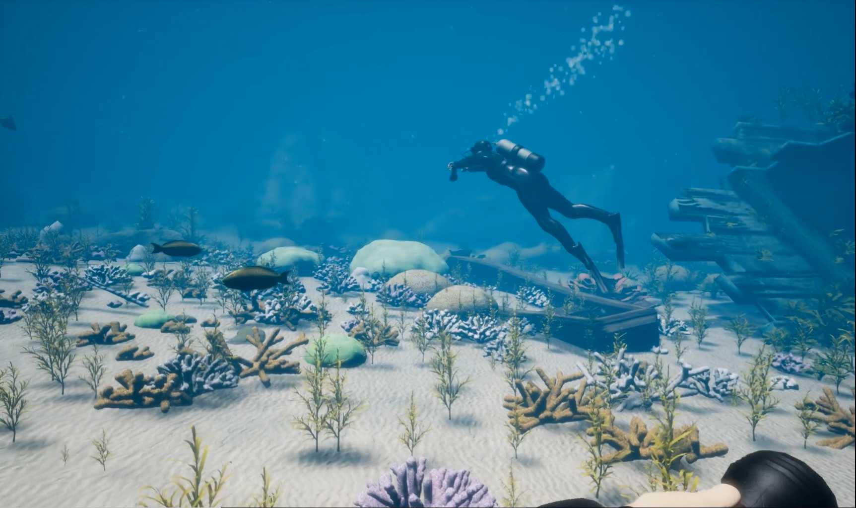 Diver swimming over the many corals of the Coral Reef.
