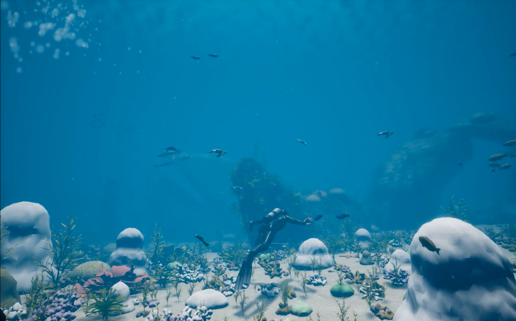 Diver in a sea of dead corals.