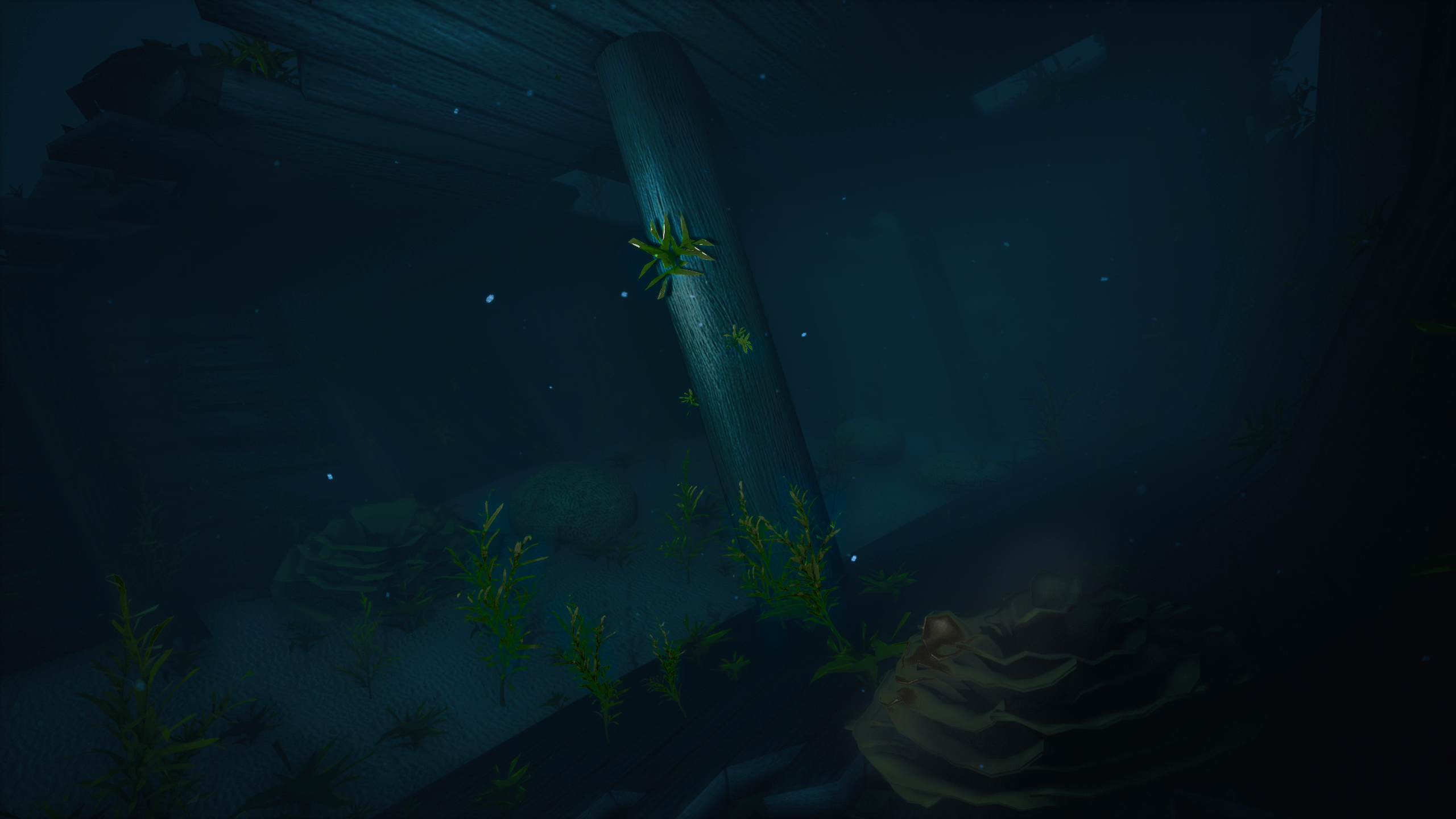 Sunken ship at night and illuminated by the divers flashlight.