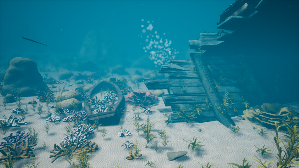 Coral growth next to sunken boats