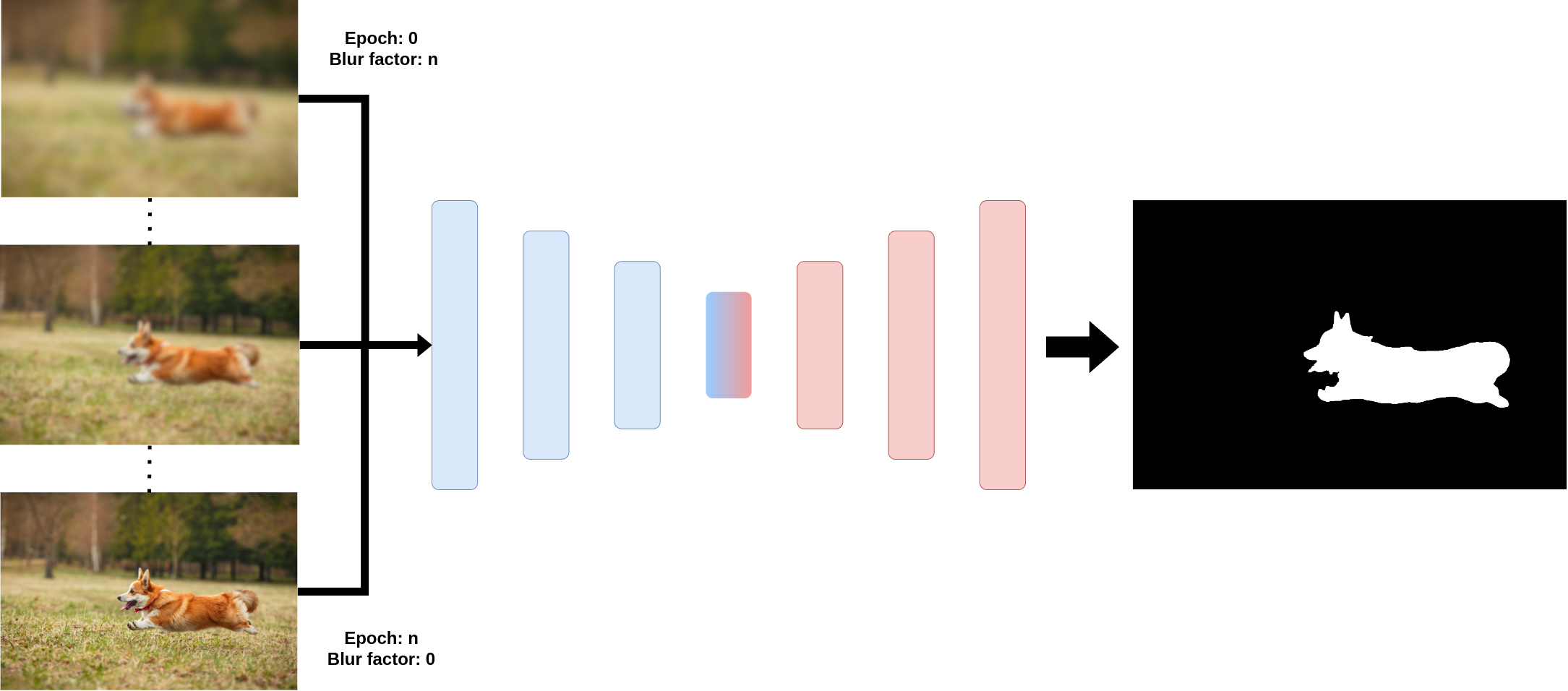 Scheduled blurring of input sample for an encoder-decoder network.