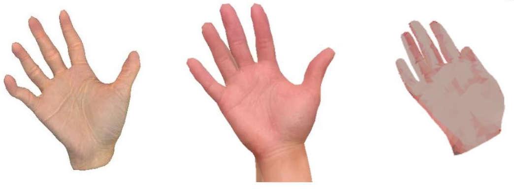 representation of hands